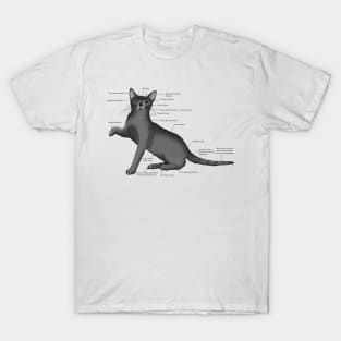 Anatomy of a Cat T-Shirt